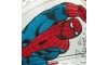 Spider-Man x Li-Ning Snapback Hats